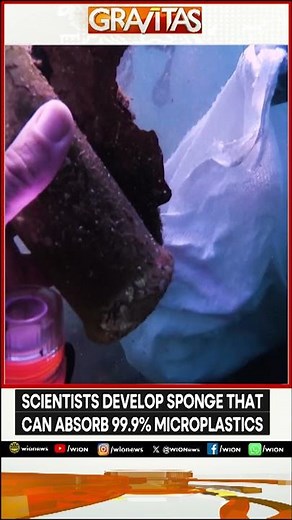 A New Sponge Can Soak Up 99.9% Of Microplastics | GRAVITAS