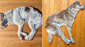 Amazing Hand Hooked Wool Rugs of Sleeping Dogs
