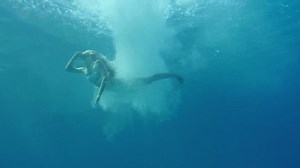 Underwater Slow Motion Low Angle Shot Stock Footage Video (100% Royalty-free) 7569397 | Shutterstock