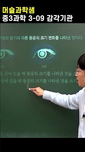 중3과학-감각기관 - 눈의구조와 시각의 형성