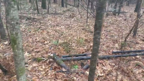 Treasure buried in barrels 120 years ago uncovered by antique treasure hunters