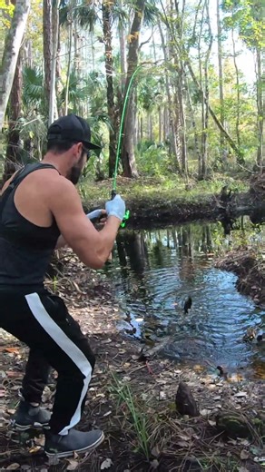 Ultralight Creek Fishing in a Tiny Hidden Creek (FAST Panfish Bite!)