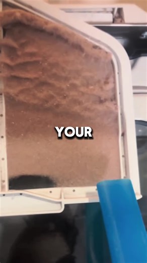 Funny Story about a Geometry Teacher and a Date