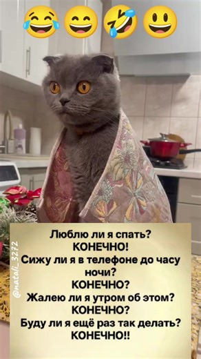 #кошка #😸 #смешноевидео #смехдослез #умора | funny animal video