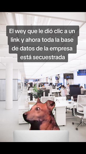 Protege tu empresa: Seguridad Informática contra virus y ransomware