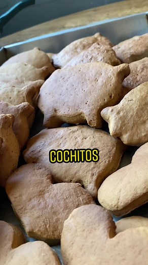 Receta del Cochito: Pan Sonorense de Piloncillo - Cocina Sonorense