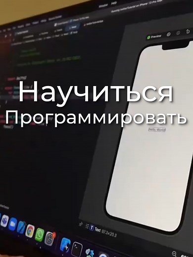 ТАК ты научишься программировать ЗА НЕДЕЛЮ! #пайтон #python #айти #duolingo