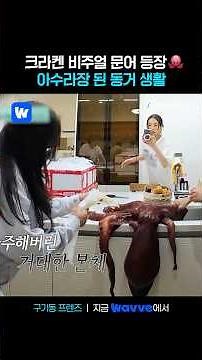 집안 순식간에 뒤집은 대형 문어🐙 누군 도망가고 누군 촬영하고 각자 다른 생존 방식🤣