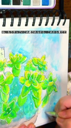 ゴキブリが出なくなるらしいハーブをかったよー！