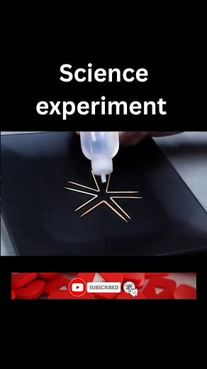 Amazing Toothpick Science Trick | Simple Water Experiment#experiment