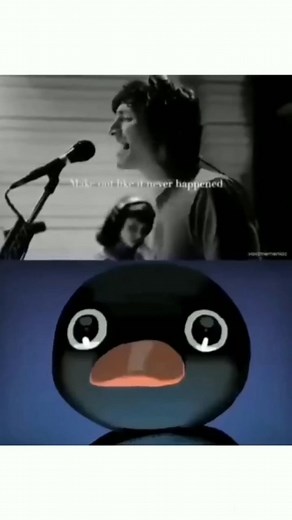 the sigma on Instagram