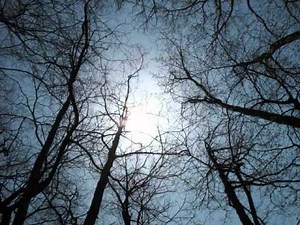 人狼 JIN-ROH grace~Jinroh-Main Theme-~omega 【思い出し弾き piano solo】