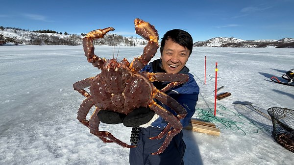 Catching & Eating ARCTIC King Crab in Norway