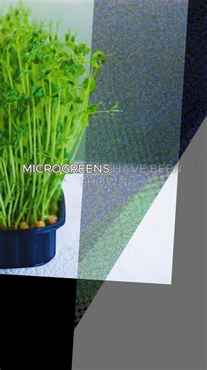 3.9K views · 74 reactions | Pea sprouts are packed with vitamins A,...