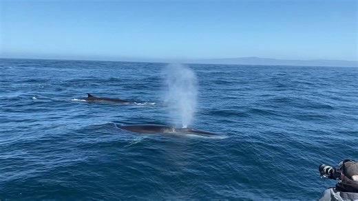 40K views · 1.8K reactions | On Tuesday we had the most amazing...