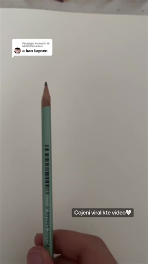 pictor.albi on TikTok