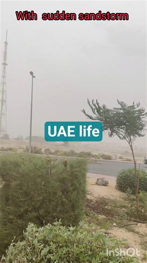Sudden Sand storms and dust in UAE😊#ytshorts #shorts #uaelife #sandstorm #beautiful #trending #viral