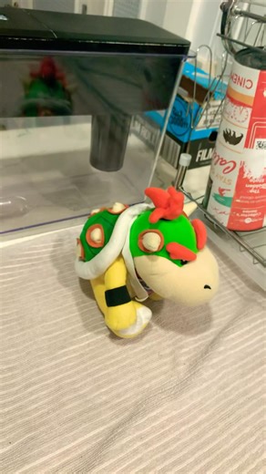 shut up bowser jr! #funnyshortstrynottolaugh