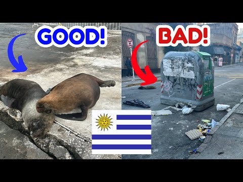 🇺🇾 5 things I LOVED and 5 things I HATED about visiting URUGUAY ⚠️
