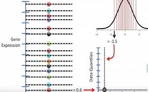 Quantile-Quantile Plots (QQ plots), Clearly Explained!!!
