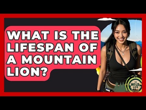 What Is The Lifespan Of A Mountain Lion? - The Wild Life Explorer