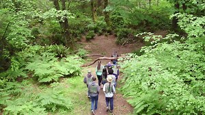 2.1K views | Point Defiance Park on Reels | Facebook