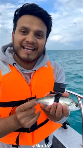 We Put a Mini Camera on a Tiny Fish 😱 | A Giant Shark Appeared! 🦈🔥