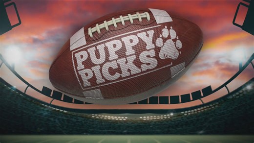 Puppy picks 2025: Gia picks Vikings vs. Cowboys