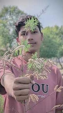 good bye 2025 #remix #shorts #youtubeshorts #foryou #trend