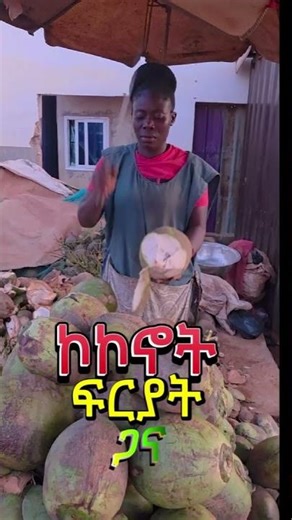 AlenaMediaTV, Eritrea, Tigrai, Culture, History, Nature, Wildlife