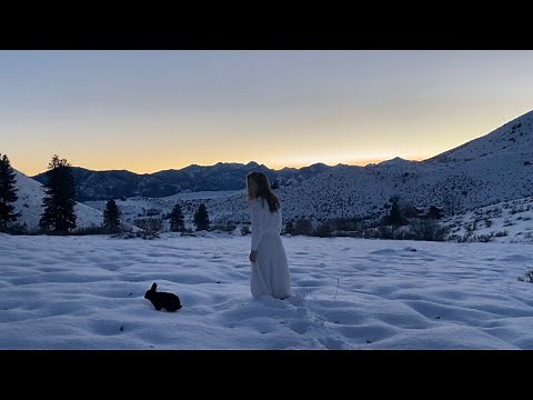 The Snow Fairy - a winter tale