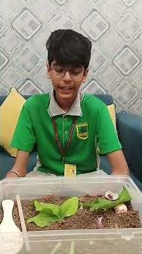 How to make green manure from kitchen waste#Woodstockpublicschoolbatala #save earth # bestforfuture