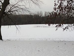 Zoning Board Grants Use Variance