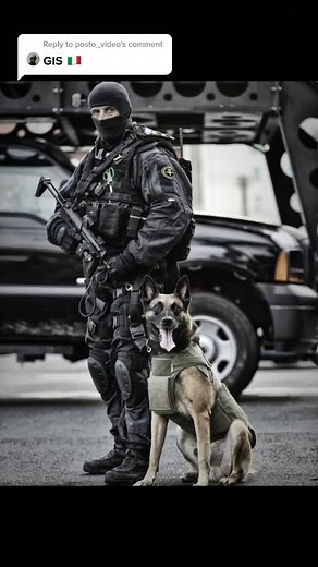 Special Forces on TikTok