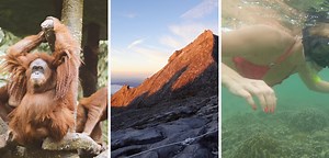 3 Days in Borneo: Rainforest, Beaches, and Mountains in Kota Kinabalu Borneo