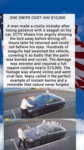 ONE SWIPE COST HIM $10,000