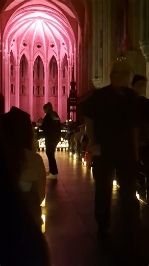 Quartet in a Cathedral #lordoftherings #cathedral #livemusic #quarteto #classicalmusic