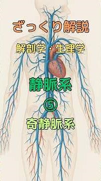 ざっくり解説 解剖学・生理学 静脈系⑤ 奇静脈系 #柔道整復師学生#理学療法士 #解剖学 #看護師 #看護学生 #shorts