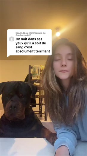 Réponse à @Soulburner012 Tiens voila la bete feroce. #pourtoi #dogsoftiktok #rottweiler #chiensurtiktok #tiktok #foryou