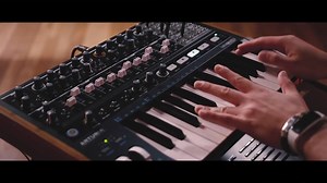 3.8K views · 32 reactions | Our insanely powerful, rewireable, semi-modular monosynth with built-in sequencer and revolutionary features is in stores now. Get hands on with #MiniBrute2, and explore this wired-up analog mutant for yourself. More : https://bit.ly/2Sl6Kc7 #Arturia #YourExperience #YourSound | Arturia | Facebook