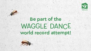 Townsville City Council staff have been busy bees practicing how to do the waggle dance! 🐝 This dance is based on Honeybees and the way they communicate in a dance language called the waggle dance to point out the location of resources that keep the hive alive. Make sure you join us at Eco Fiesta on Sunday 5 June, as we attempt to break the world record for most people waggling at once! For more information about the event, visit: https://bit.ly/3pJF7M7 Cr Maurie Soars - Division 8 Townsville D