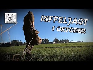 Riffeljagt i Oktober | Deer hunting in Denmark