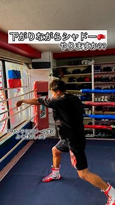 だいすけ先生 | 下がりながらシャドー、やりますか🥊？ ・ ・ ・ ・ ・ ・ ・ ・ ・ ・ ・ ・ #ボクシング #ボクサー #boxing #punchingbag #boxer #shadowboxing #shadowbox #uppercuts #ボクシングトレーニング... | Instagram