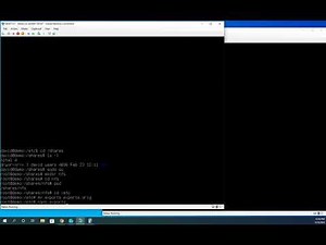 Installing and configuring NFS exports on Ubuntu Server