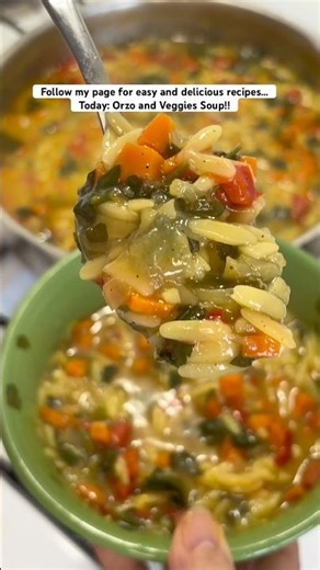 Orzo and Veggie Soup!!