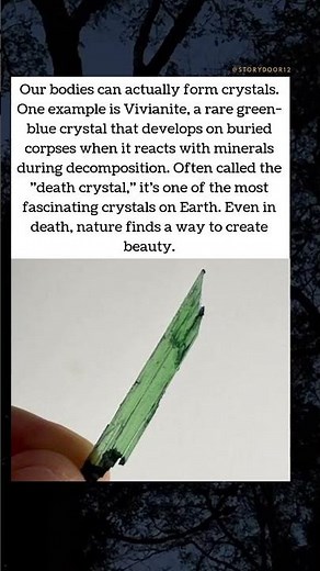 Vivianite – The “Death Crystal” 💎🌿