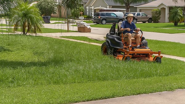 Fast and Efficient Lawn Care Vlog #28: Semi-Tall Yard Mowing in Record Time!
