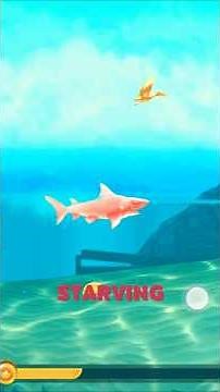 Hungry Shark Evolution Gameplay | Giant Shark Rampage! 🦈 Epic Mobile Game 2026 # hungryshark