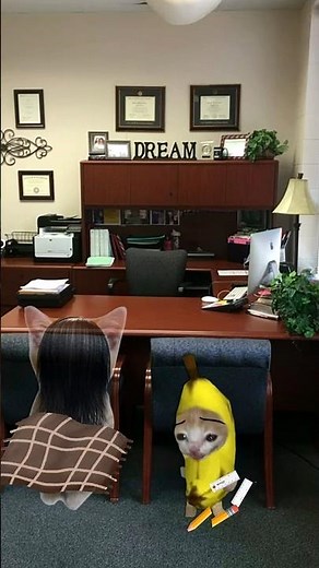 Evil Larry cat returns & plays with backpack 🐱❤️ #catmemes #cat #shorts #fyp #bananacat