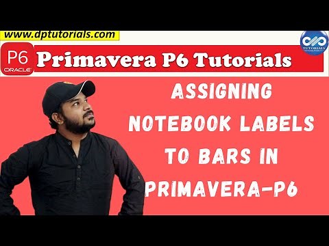 Assigning Notebook labels to PRIMAVERA P6 Gantt Chart Bars || Primavera P6